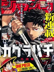 佐樱漫画第二卷整理卡片封面：藕荷分栏